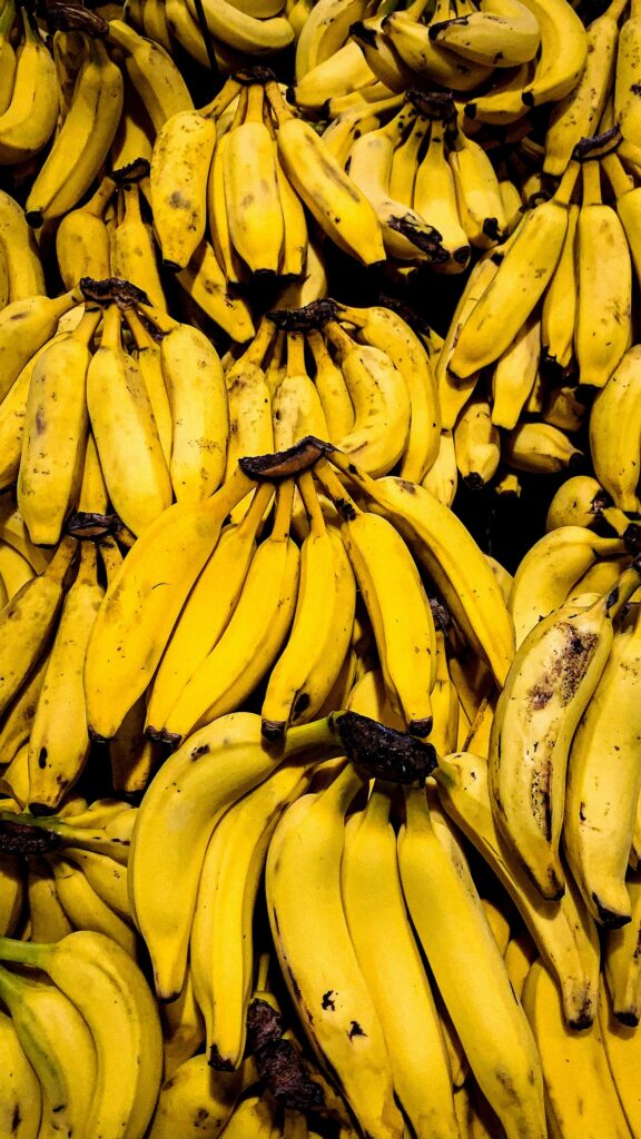 Fresh yellow bananas stacked in bunches