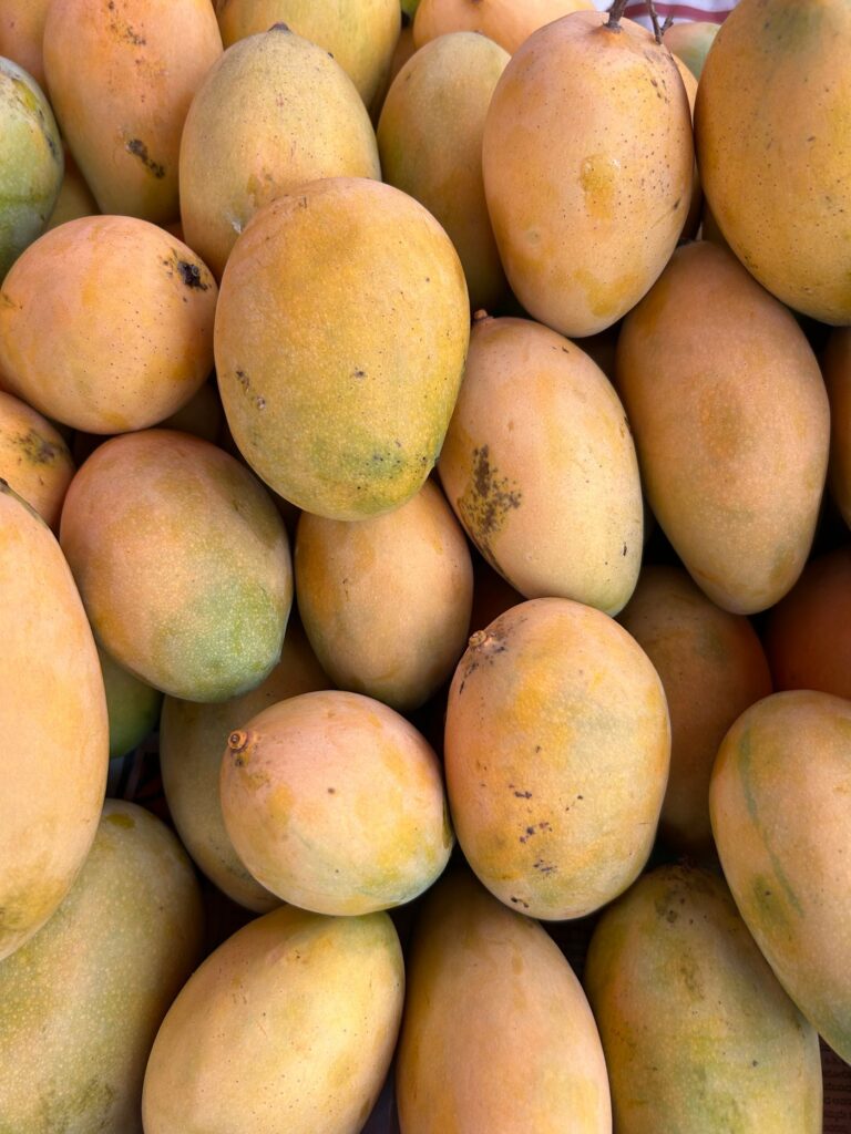 A pile of fresh ripe mangoes