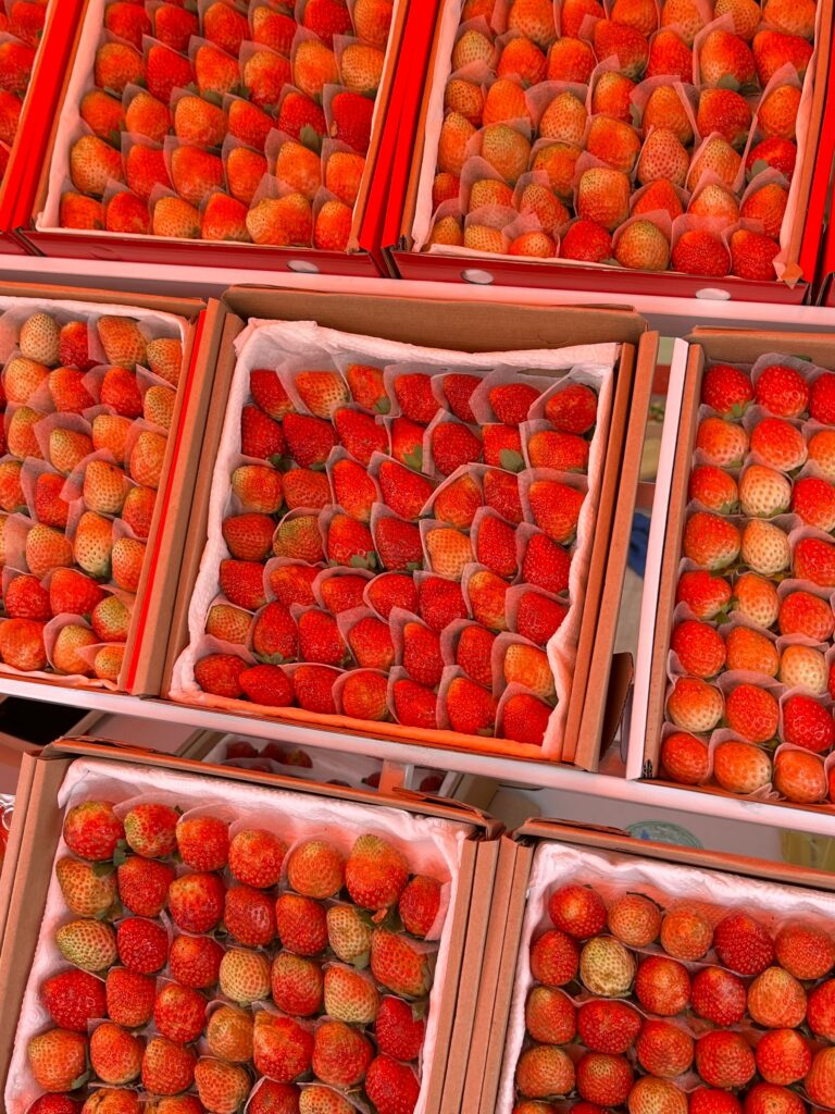 Fresh strawberries packed in boxes for distribution